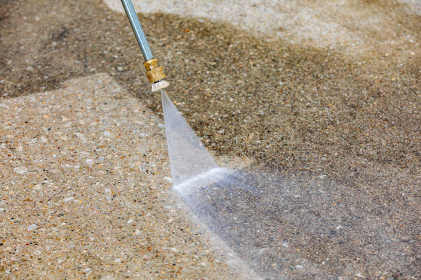 Best Roof Washing  in Frontenac, MO