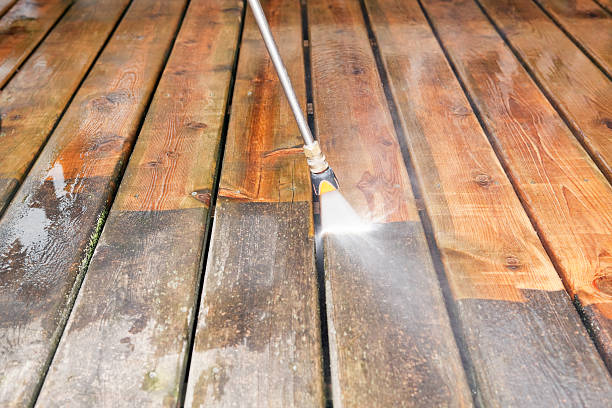 Best Fence Cleaning  in Frontenac, MO