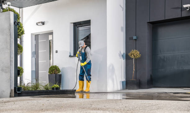 Best Sidewalk and Walkway Cleaning  in Frontenac, MO